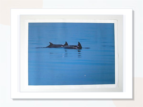 Ispis fotografija na umjetničkom platnu