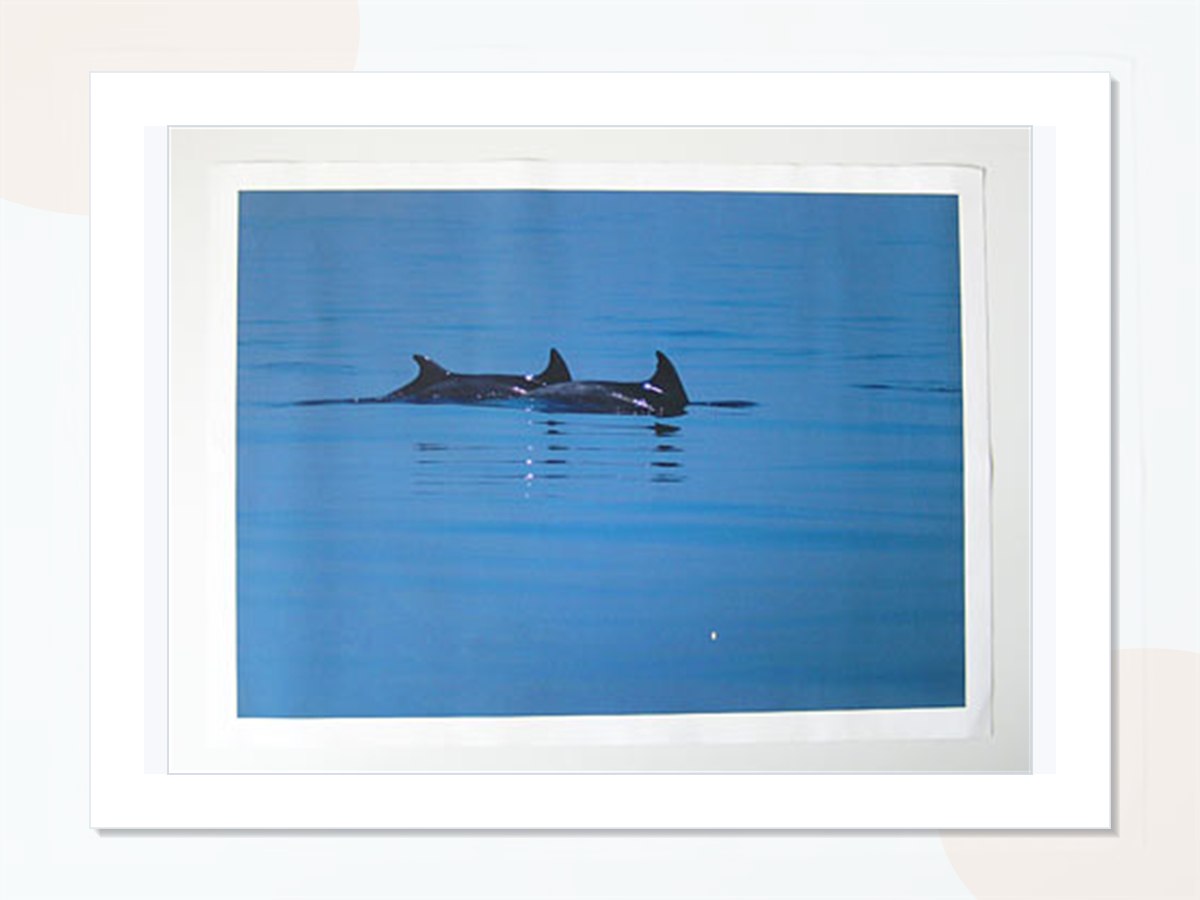 Ispis fotografija na umjetničkom platnu